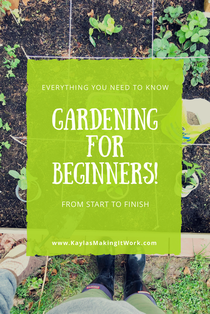 Gardening For Beginners- from start to finish