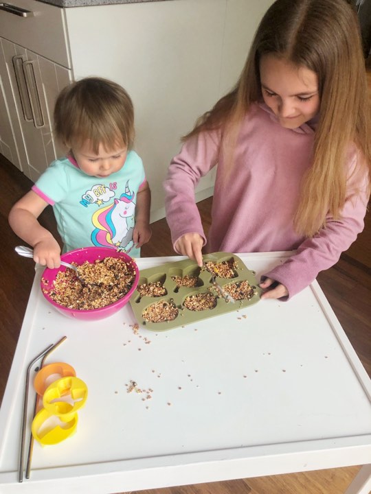 Simple DIY For Kids Birdseed Feeder