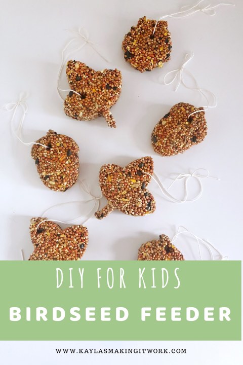 Simple DIY For Kids Birdseed Feeder