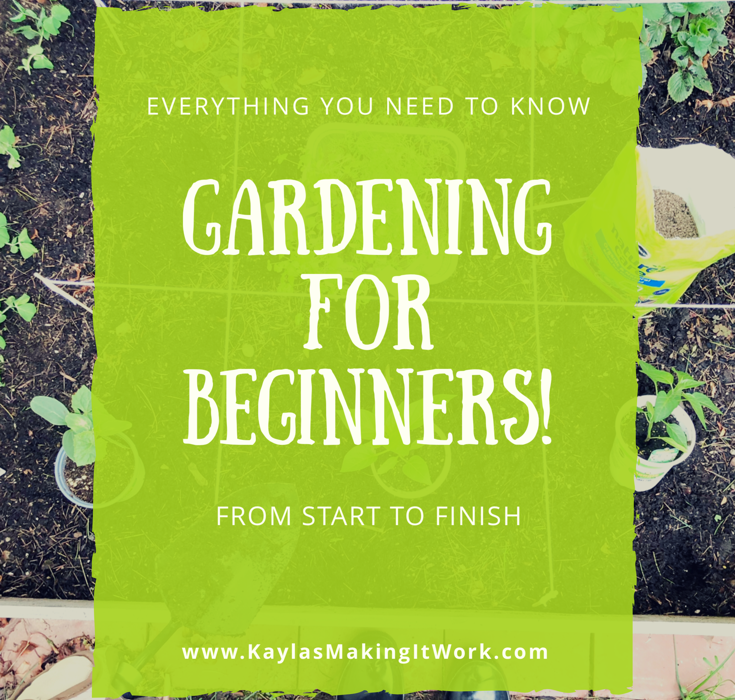 Gardening For Beginners- from start to finish