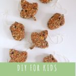 Birdseed Feeder -DIY for Kiddos