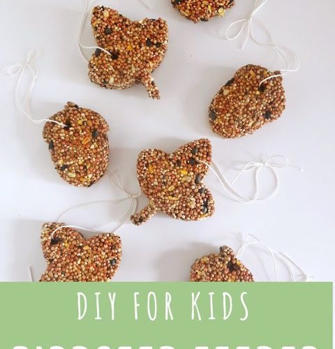 Birdseed Feeder -DIY for Kiddos