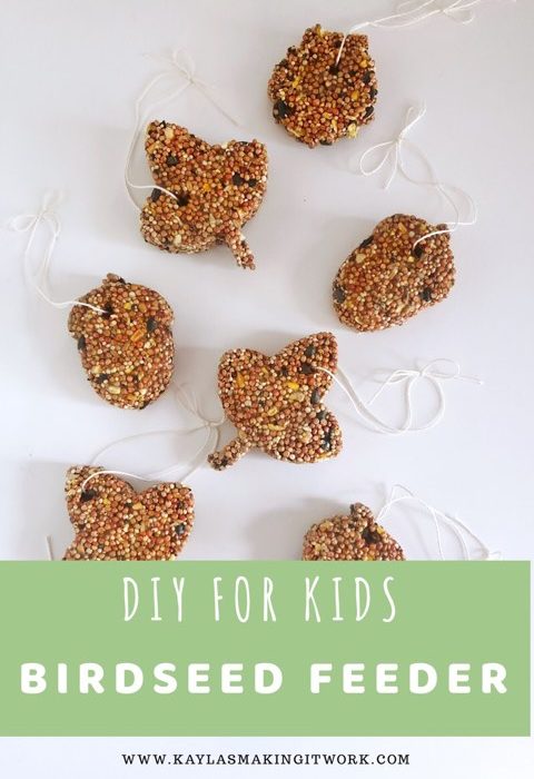 Simple DIY For Kids Birdseed Feeder