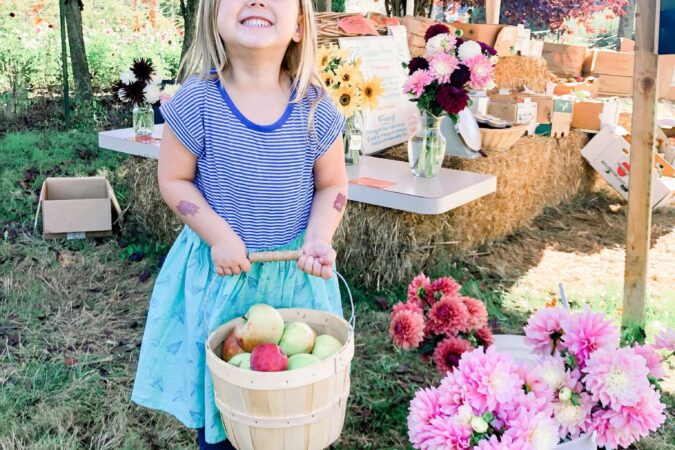 Homemade Applesauce Recipe